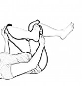 Supine Figure 4 - 2